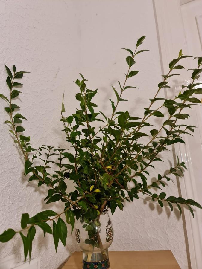 Pilrig St Rooms 爱丁堡 外观 照片